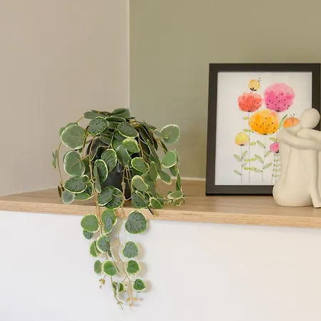 Гостевой дом & Darrer