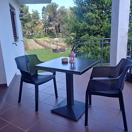 Гостьовий будинок & Darrer 3*